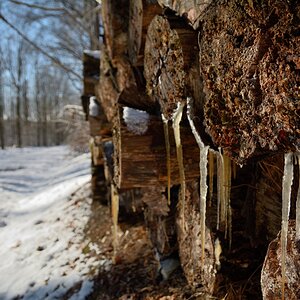 DSC_0346_00001n.jpg