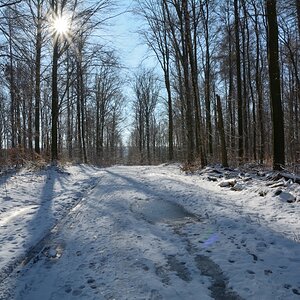 DSC_0351_00001_01n1.jpg