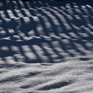 DSC_1401_00001n.jpg