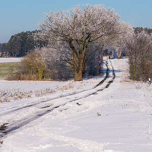 Schneespaziergang (1 von 1).JPG