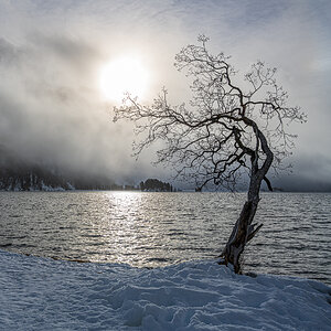 Sils Maria 2020-3000.jpg