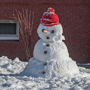 OF5_07750.jpg