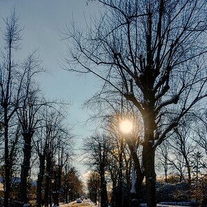 TZ_DSC02573_A.jpg