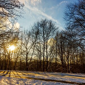 TZ_DSC02578_A.jpg