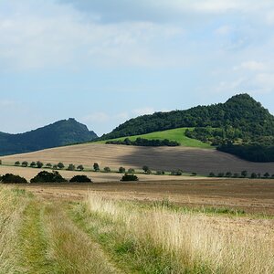 DSC_0124n.JPG