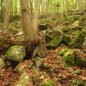 DSC_0233-01n.jpeg