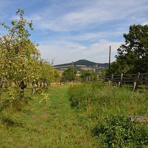 DSC_3439n.JPG