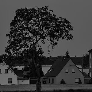 OF2_28404sw.jpg