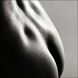 comp_Body-shape1-1.jpg