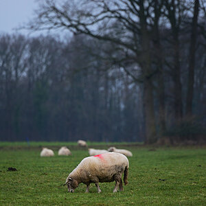 811_6967at2l10fks70p1.jpg