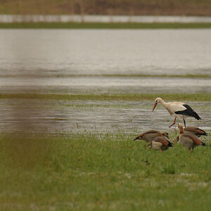 NF_DSC_6045.jpg