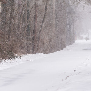 Schneesturm  (1 von 1).JPG