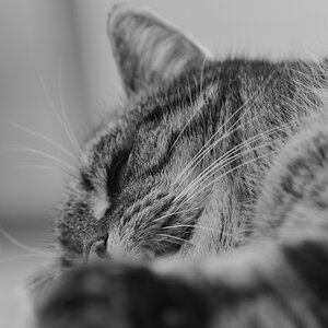 DSC_1414_00001_03n.jpg