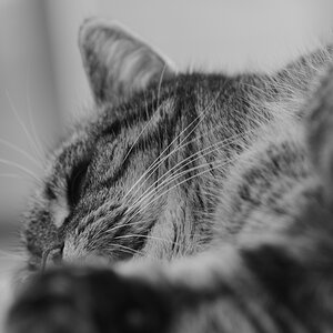DSC_1418_00001_02n.jpg