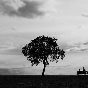 Abendrunde