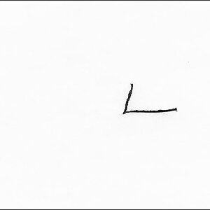 Schneeblatt (1 von 1).JPG
