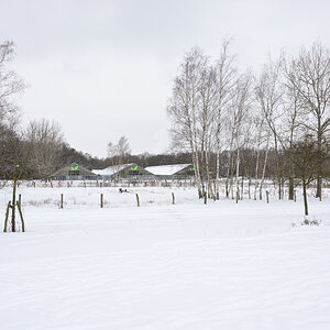 DSC_6189.JPG
