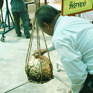 thail.9.jpg