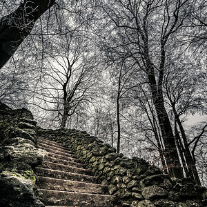 Stairs and Trees