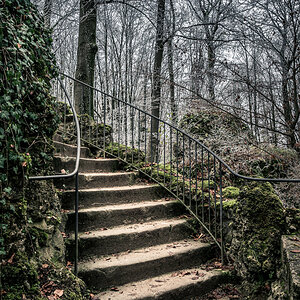 Curved Stairs