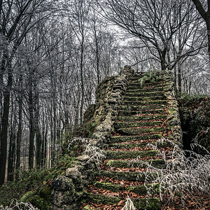 Green Stairs