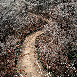 Path Between Frost