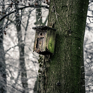 Birdhouse 29