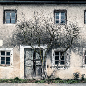 Front With Tree