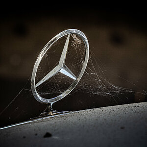 Web Star