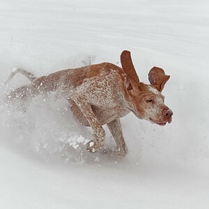 Prinzessin im Pulverschnee