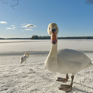 DSC_3806.jpeg