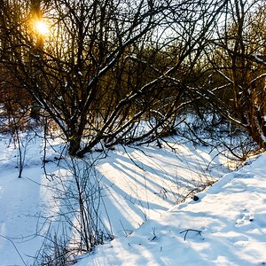 TZ_DSC02652_A.jpg