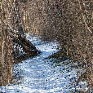Z6H_0055.jpg