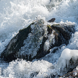 Z6H_0058.jpg