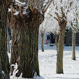 PANA6150_DxO1200.jpg