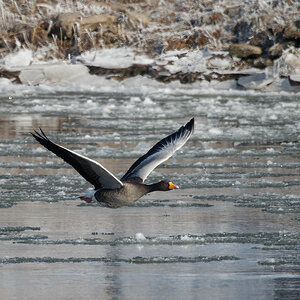 PANA6252_DxO_DxO1200.jpg