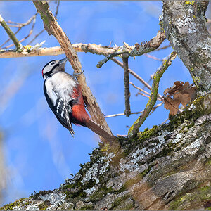 D50_6805.jpg