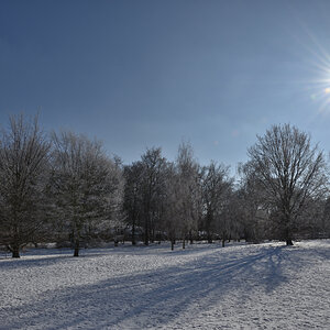 DSC_6215.JPG