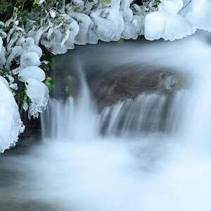 winter-1.jpg