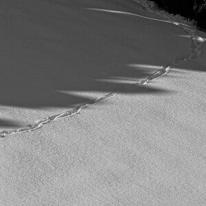 _1220581A-SWxl.jpg