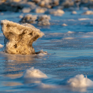 210213 Fedderwardersiel-19.jpg