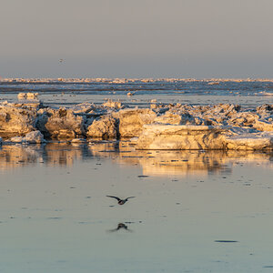 210213 Fedderwardersiel-23.jpg