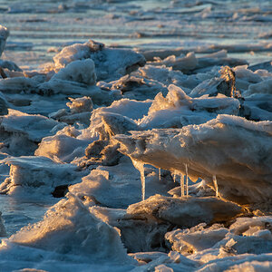 210213 Fedderwardersiel-28.jpg