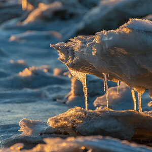 210213 Fedderwardersiel-30.jpg