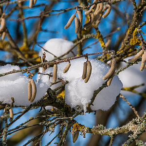 Frühling und Winter (1 von 1).JPG