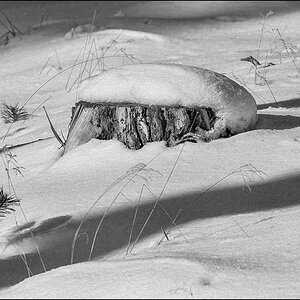 Schneekappe (1 von 1).JPG