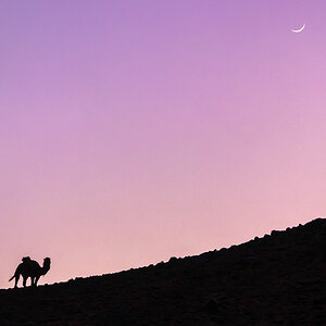IMG_9373.jpg