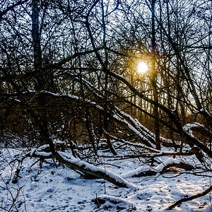 TZ_DSC02639_A.jpg