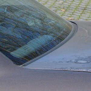 DSC_0583_DxO2n.jpg