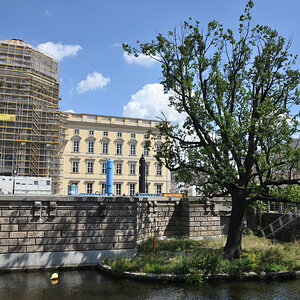 DSC_7067.JPG